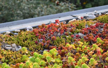 the cost of Holly Brook green roof installation
