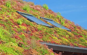 Holly Brook living roof systems